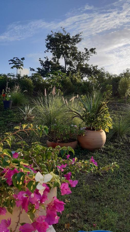 P'Tites Chambres Dans La Campagne De Marie Galante Grand-Bourg  Buitenkant foto